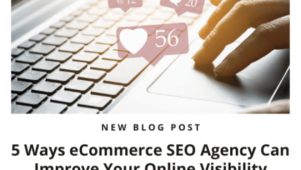 5 Ways eCommerce SEO Agency Can Improve Your Online Visibility